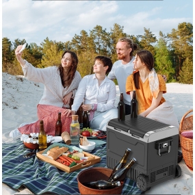 Холодильники автомобильные